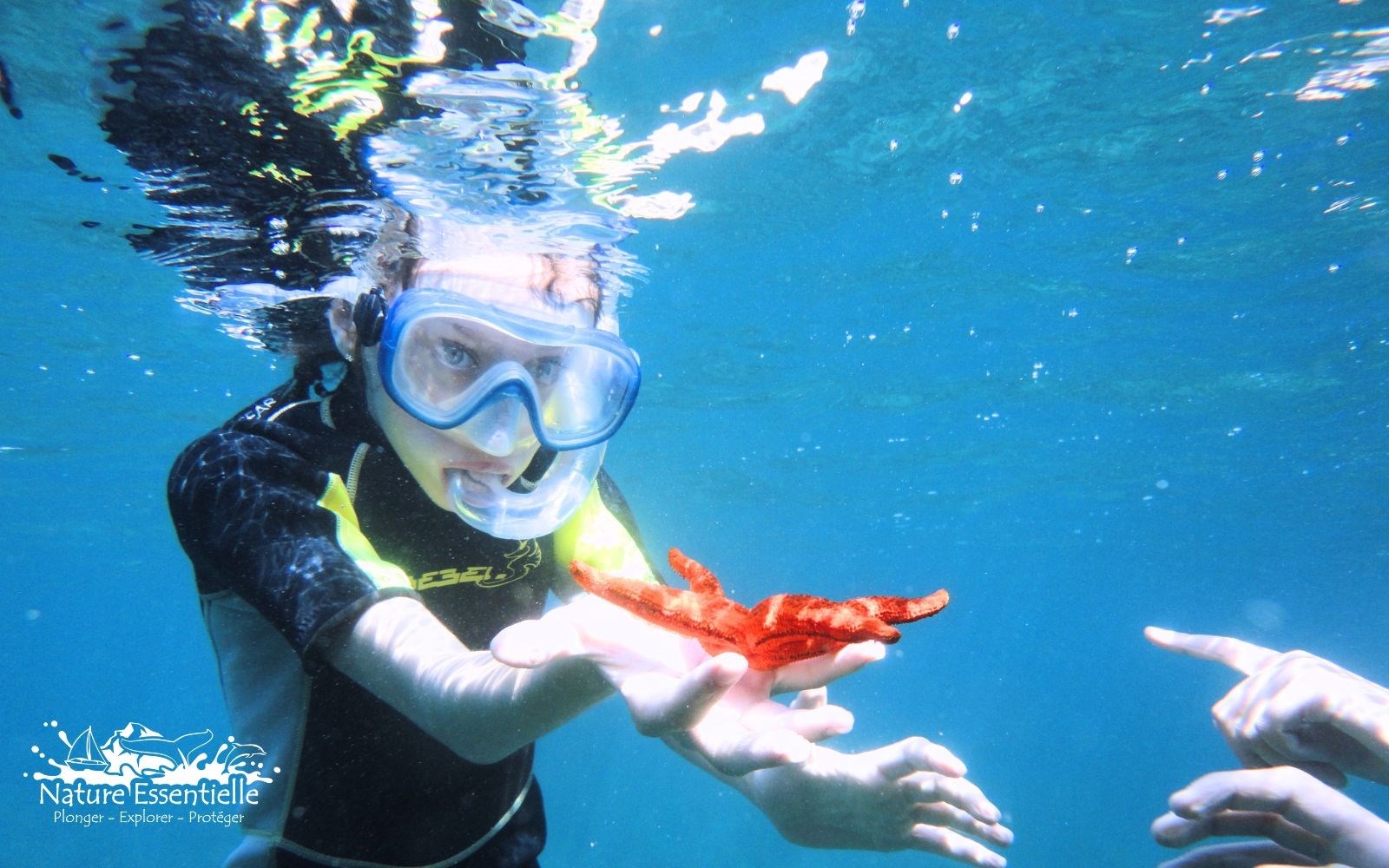  journée snorkeling « 2 îles » – exploration en bateau au départ de cannes
				à CANNES