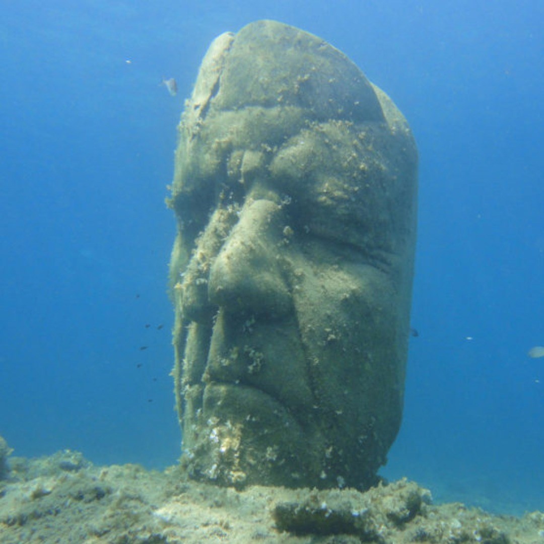  snorkeling et trésors cachés de la côte d’azur
				à CANNES