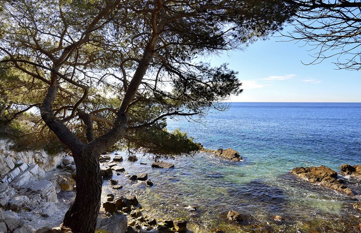 RIVIERA LINES - TRAVERSEES EN BATEAU VERS L'ILE SAINTE MARGUERITE A CANNES