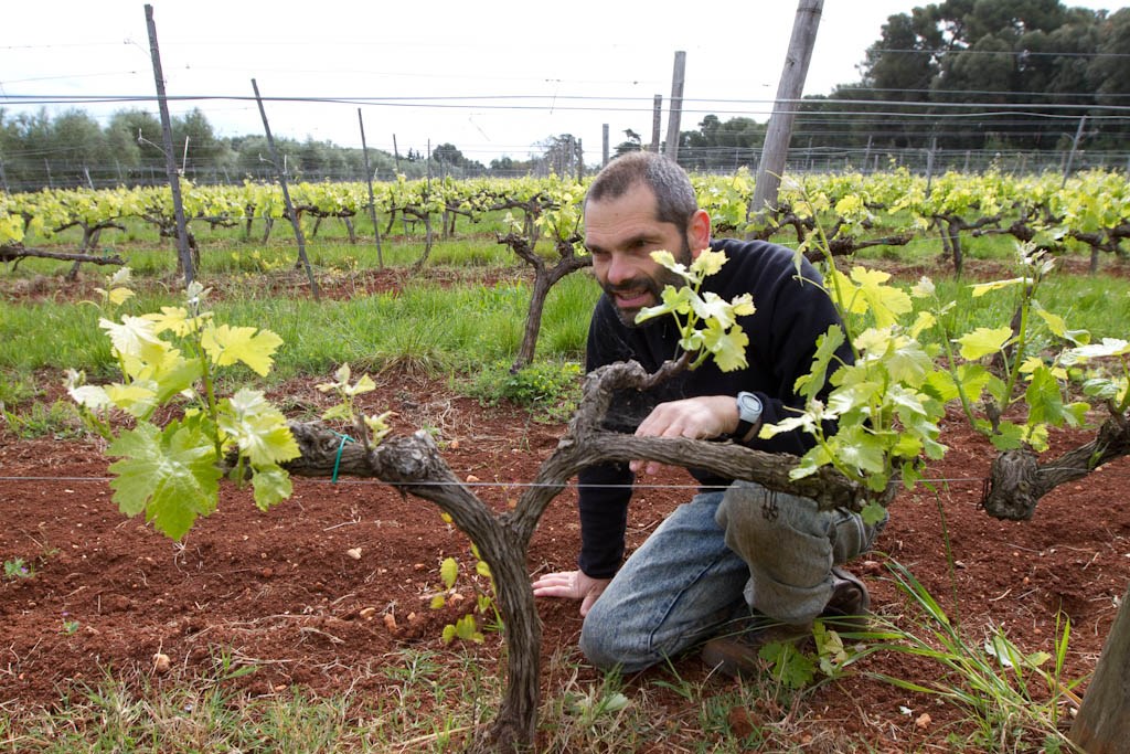 journees vignes et vins a cannes
				à Cannes