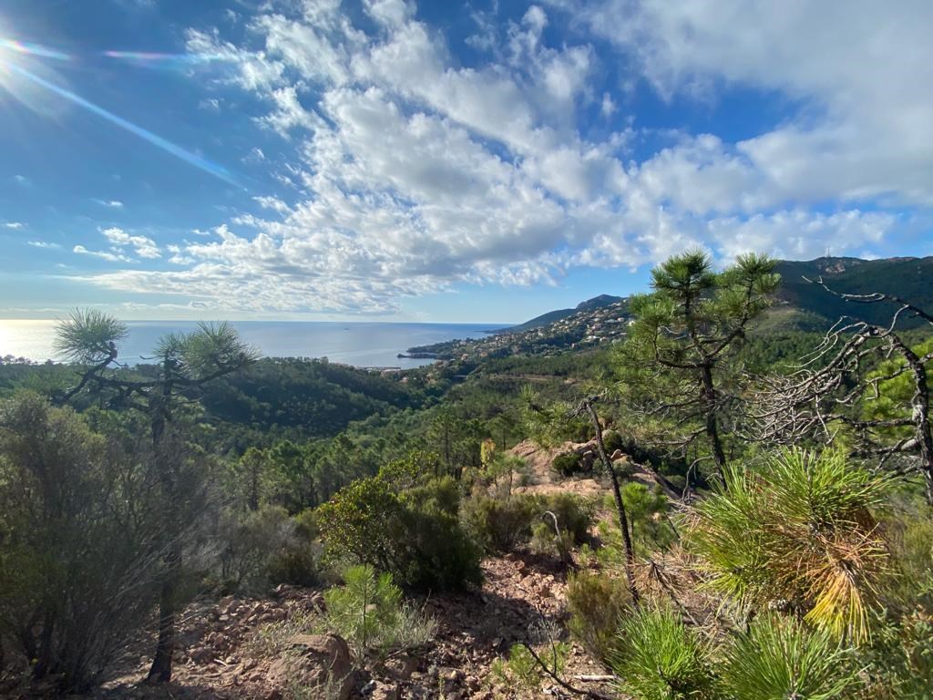 RANDONNEE DÉCOUVERTE DE L'ESTÉREL (demi journée)